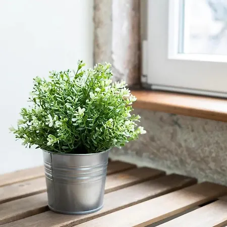Charming In Front Of Castle Sao Jorge By Innkeeper * Lisboa